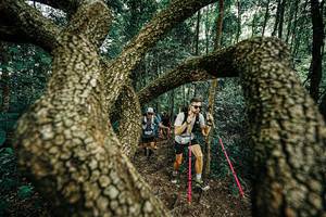 BIB: 
                            <button type="button" onclick="openModal(25393128)" class="btn btn-primary btn-sm float-right btn-popup" data-toggle="modal" data-target=".modal-high-quality">
                        <i class="fas fa-shopping-cart"></i> Add to Cart
                    </button>
                                            <button type="button" onclick="isThisMe(25393128, true)" class="btn btn-success btn-sm float-right btn-popup btn-isme hidden" data-toggle="tooltip" data-placement="bottom" title="นี่คือรูปของคุณใช่ไหม คลิกที่นี่เพื่อเอาเข้าอัลบั้ม">
                        <i class="fas fa-plus"></i> Add to album
                    </button>
                    <button type="button" onclick="isThisMe(25393128, false)" class="btn btn-warning btn-sm float-right btn-popup btn-isnotme hidden">
                        <i class="fas fa-ban"></i> Remove from album
                    </button>